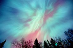 an aurora bore is seen in the sky above trees