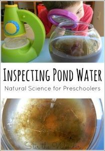 an image of a child in front of a bowl with water