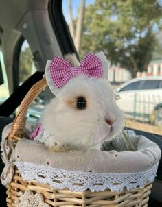 a small white rabbit in a basket with a pink bow on it's head