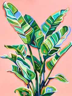 a painting of a potted plant with green leaves on a pink background in front of an orange wall