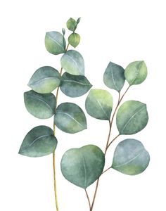 watercolor painting of green leaves on white background