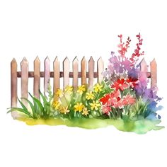 a watercolor painting of flowers by a fence