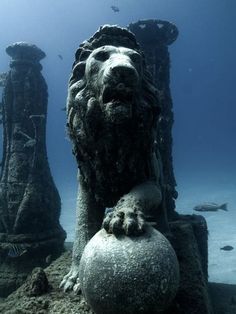 an underwater sculpture is shown in black and white