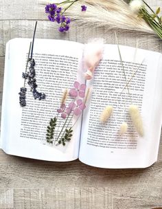 an open book with dried flowers on it