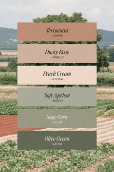 This palette captures the essence of a tranquil countryside with its blend of warm, earthy tones and soft, muted greens. It combines the sun-baked tone of "Terracotta", the soft, warm blush of "Dusty Rose," the light creamy touch of "Peach Cream," the soft green-beige of "Soft Apricot", the muted green of "Sage Fern," and the grounded, olive tone of "Olive Green." These colors evoke a sense of natural beauty, understated elegance, and a peaceful connection with the earth.

color palette, earthy tones, earthy colors, natural palette, natural tones, natural colors, green tones, green colors, countryside colors, warm tones, warm colors, muted palette