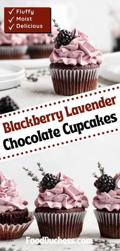 blackberry lavender chocolate cupcakes with pink frosting and blackberries on the top