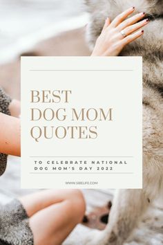 85 Best dog mom quotes to celebrate national dog mom's day. Dog Mom Day Quotes, Dog Mom Quotes Mothers Day, Dog Mommy Quotes, Dog Mom Mother’s Day, Proud Dog Mom Quotes, Thankful For My Dog Quotes, Dog Is My Best Friend Quote, Dog Therapy Quotes, Dog Saved Me Quotes