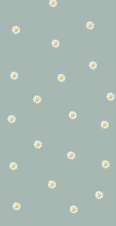 a green background with white daisies on it