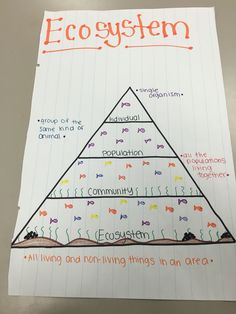 a paper with a diagram on it that says, eocysten and other things in an area