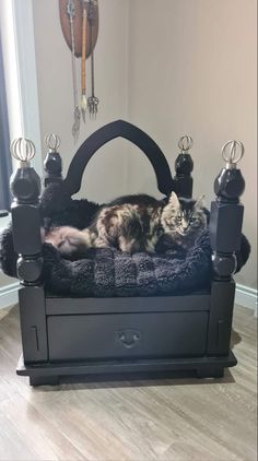 a cat laying on top of a black bed in a room with wood flooring