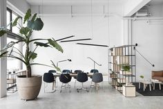 an office with plants and chairs in it