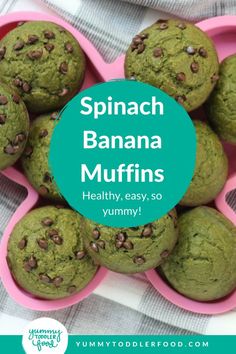 spinach banana muffins with chocolate chips in the middle and text overlay reading spinach banana muffins healthy, easy so yummy