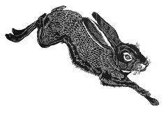 a black and white drawing of a running rabbit