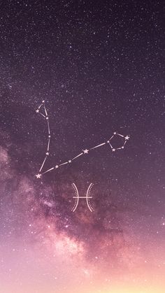 the sky is filled with stars and there are two zodiac signs in the foreground