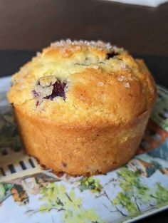 a blueberry muffin sitting on top of a plate