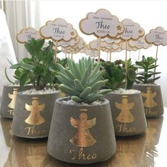 small pots with plants in them sitting on a table