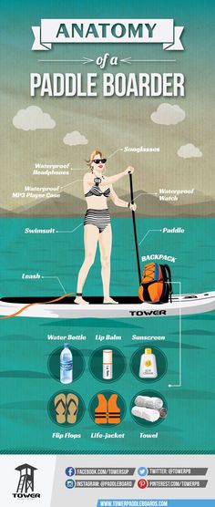 the anatomy of a paddle boarder