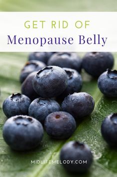 Bloated Belly, Detox Your Body, Healthy Aging, Health Remedies, Holistic Health, Get Healthy, Weight Gain, Natural Remedies