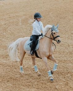 Summer Horseback Riding Outfit, Harlow And Popcorn, Cute Horse Pictures, Palomino Horse, Equestrian Girls