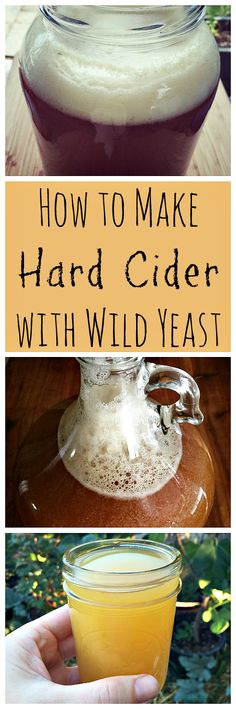 how to make hard cider with wild yeast