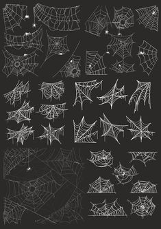 various spider webs are shown on a black background