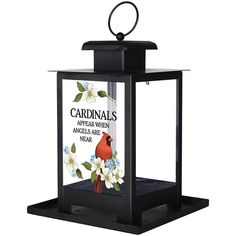 a lantern with a cardinal on it and flowers around the candle holder that says cardinals appear when angels are near