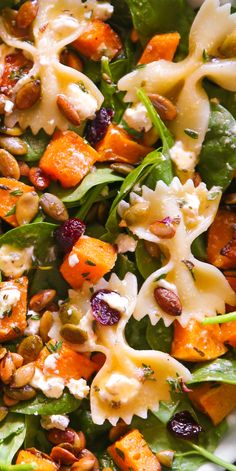 Fall Salad with butternut squash, pumpkin seeds, cranberries, spinach, goat cheese, and pasta - close-up photo. Fall Salad With Pumpkin Seeds, Autumn Salad With Maple Dressing, Lighter Thanksgiving Side Dishes, Fall Salad Maple Dressing, Fall Salad With Maple Dressing, Nut Free Salad Recipes, Fall Salad With Butternut Squash, Fall Salad With Maple Lime Dressing, Vegan Autumn Salad