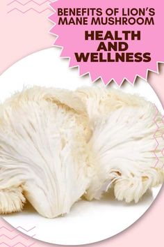 Unlock the powerful benefits of Lion’s Mane mushroom for health and wellness. Known for its cognitive-boosting properties, Lion’s Mane supports brain health, improves memory, and enhances focus. This superfood mushroom also bolsters the immune system, aids digestion, and promotes overall vitality. Discover how adding Lion’s Mane to your routine can be a natural way to boost mental clarity, energy, and well-being.
Lion’s Mane Health Benefits | Cognitive Support | Immune Boost | Brain Health | Natural Wellness | Mental Clarity Lion's Mane Mushroom, Mushroom Benefits, Lion's Mane, Boost Memory, Gut Microbiota, Natural Wellness, Mental Clarity, Brain Health