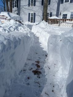 the path to the house is completely covered in snow and has been dug out with shovels