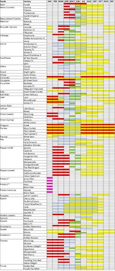 the chart shows that there are many different languages in each language