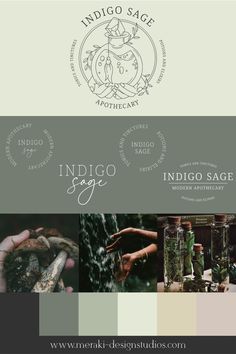 the indigo sage logo and color scheme