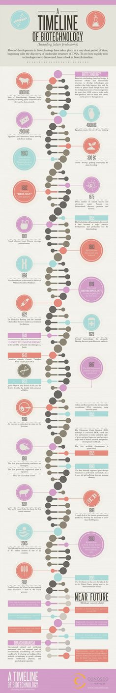 a poster with different types of circles and lines on it, including the words time line