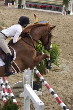 a person riding on the back of a brown horse over an obstacle