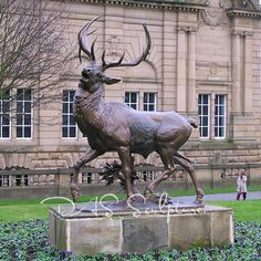 a bronze statue of a stag in front of a large building with blue flowers