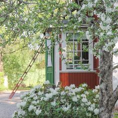 a small red and white house sitting next to a tree with flowers in front of it