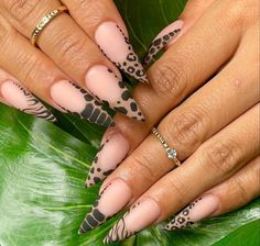 Brown Animal Print Nails, Brown Matte Nails Design, Cute Nude Nail Designs, Neutral Manicure, Trendy Nude Nails, Pointy Nail Designs, Zebra Print Nails, 2022 Nails, Animal Print Nails Art