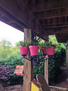 three potted plants hanging from a wooden structure