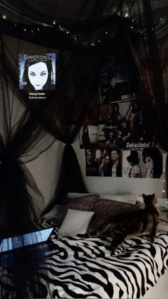 a cat laying on top of a zebra print bed