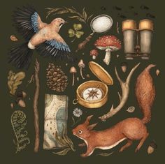 an illustration of birds, mushrooms, and other things