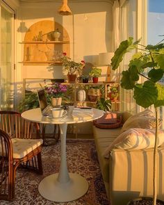 a living room filled with furniture and lots of plants on top of it's windowsill