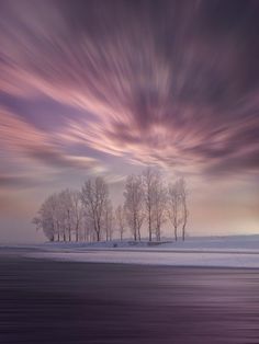 some trees are standing in the middle of a snow covered field with purple and pink clouds