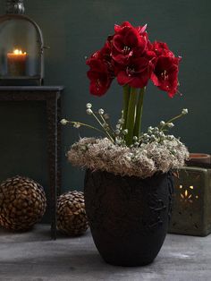 a vase with red flowers in it sitting on a table next to pine cones and candles