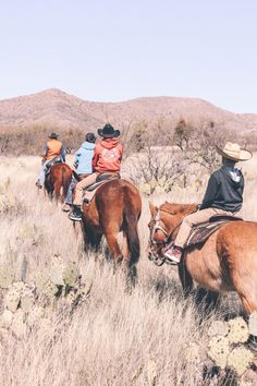 four people are riding horses through the desert