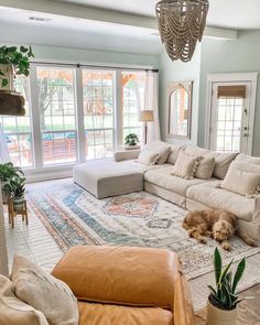 a living room filled with furniture and a dog laying on top of a rug in front of a window