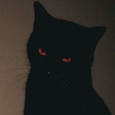 a black cat with red eyes staring at the camera