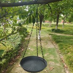 a swing hanging from a tree in a park