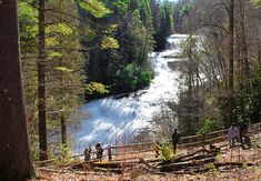 some people are standing on the side of a hill looking at a waterfall in the woods