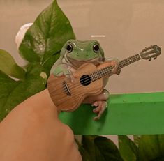 Frogs Aesthetic Frog Pictures, What Animal Am I Pinterest, Cute Guitar Aesthetic, Cute Frogs Aesthetic, Cute Froggy Aesthetic, Froggie Aesthetic, Frog Cute Aesthetic, Cute Frog Pictures, Frogcore Aesthetic