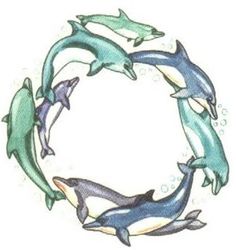 a group of dolphins swimming in a circle