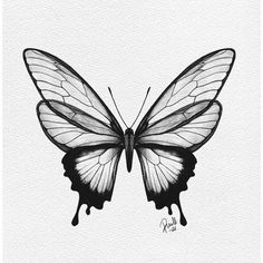 a black and white drawing of a butterfly